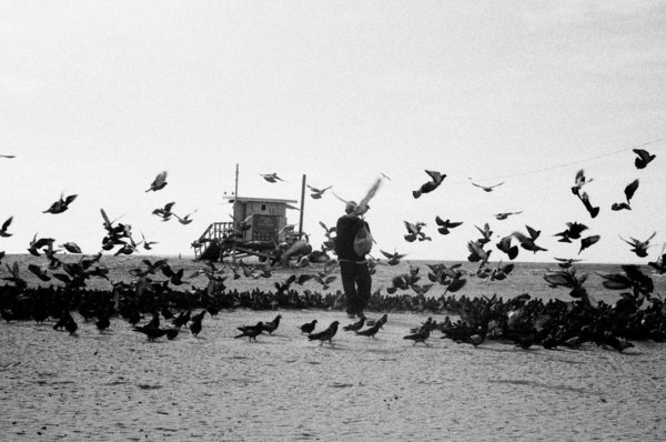 M4 - 1968 Santa Monica - pigeon man